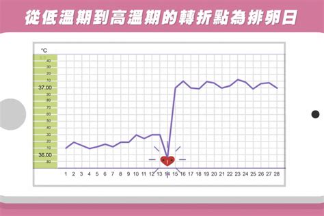 著床降溫圖|基礎體溫:著床性低溫+第二段高溫(提早判斷懷孕經驗分享)